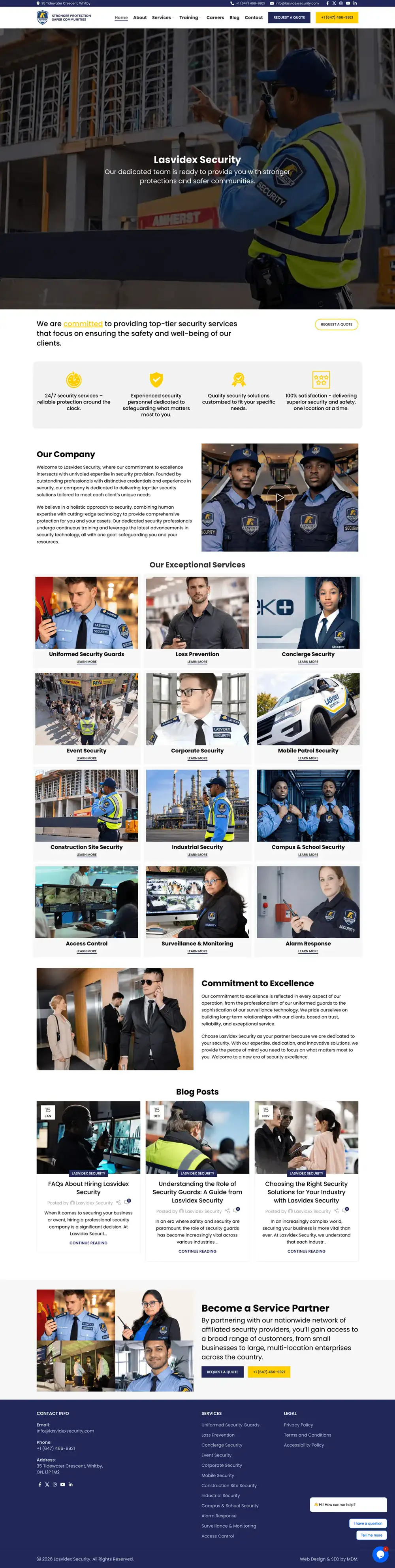 Lasvidex Security homepage preview